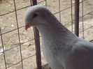 my Picture 112