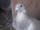 my Picture 145F2012