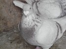 my Picture 148