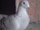 my Picture 169