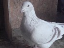 my Picture 172