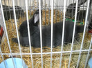 DSCN3514
