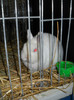 DSCN3549