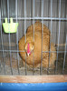DSCN3563