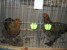 DSCN3576