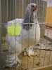 DSCN3582