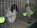 DSCN3599