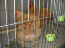 DSCN3612