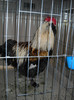 DSCN3625