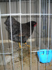 DSCN3636