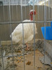 DSCN3654