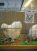 DSCN3660