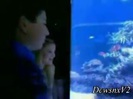 Disney Channel Special Look - Finding Nemo 3D 0523