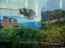 Disney Channel Special Look - Finding Nemo 3D 3957