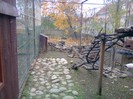 vine iarna.....!!!