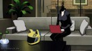 celty 7
