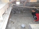 simbol fata medalie 174