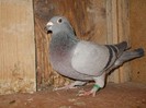 DSCN4113