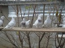 my Picture 070
