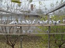my Picture 078