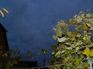 DSCN2106