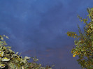 DSCN2107