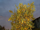 DSCN2108