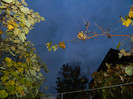 DSCN2118