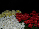 DSCN2120