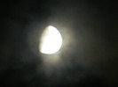 DSCN2137