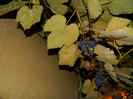 DSCN2166