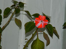 DSCN2173