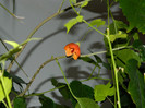 DSCN2180