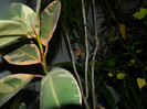 DSCN2182