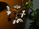 DSCN2197