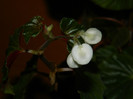 DSCN2201