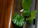 DSCN2205