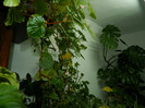 DSCN2208