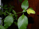 DSCN2221