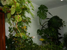 DSCN2229