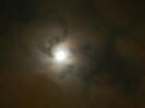 DSCN2263
