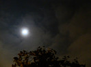 DSCN2269
