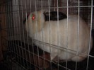 DSCN2757