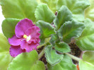 DSC01839