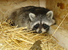 DSC02660