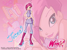 Winx-Club-the-winx-club-31836901-1024-768