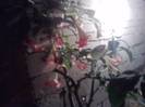 P021112_05.20_[04]