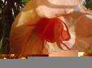 P041012_01.57_[02]