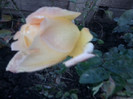 Fotografie0074