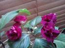 P041012_01.37_[01]